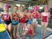 Klub_Plywacki_Delfin_Wloclawek00.jpg
